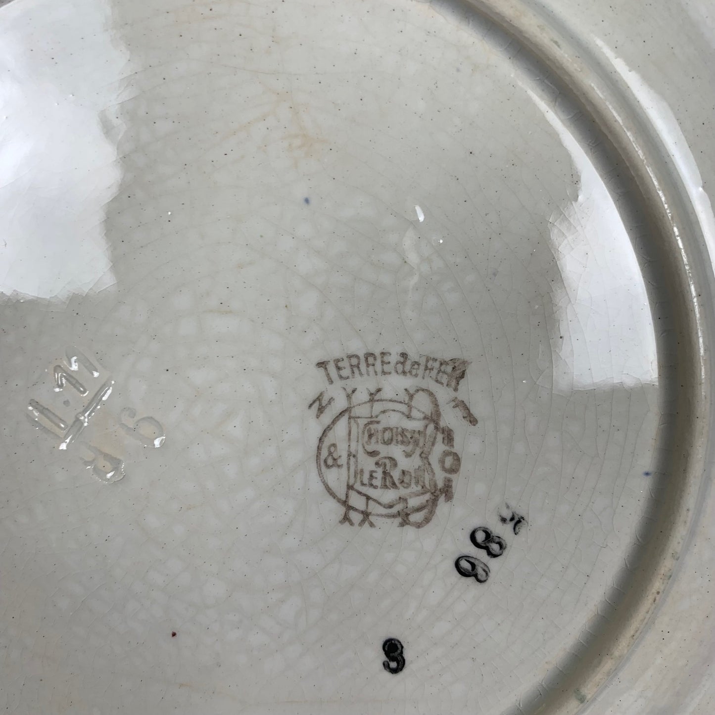 Set of 2 Choisy le roi plates, iron earth, floral motif, late 19th century
