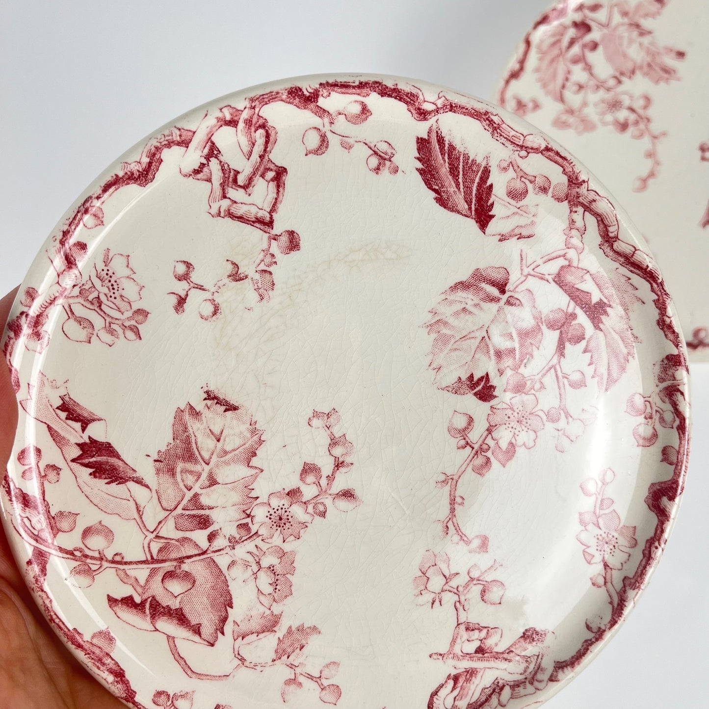Rare Set of 6 bread plates KG Lunéville Ironstone, "Fontainebleau", pink, 19th century