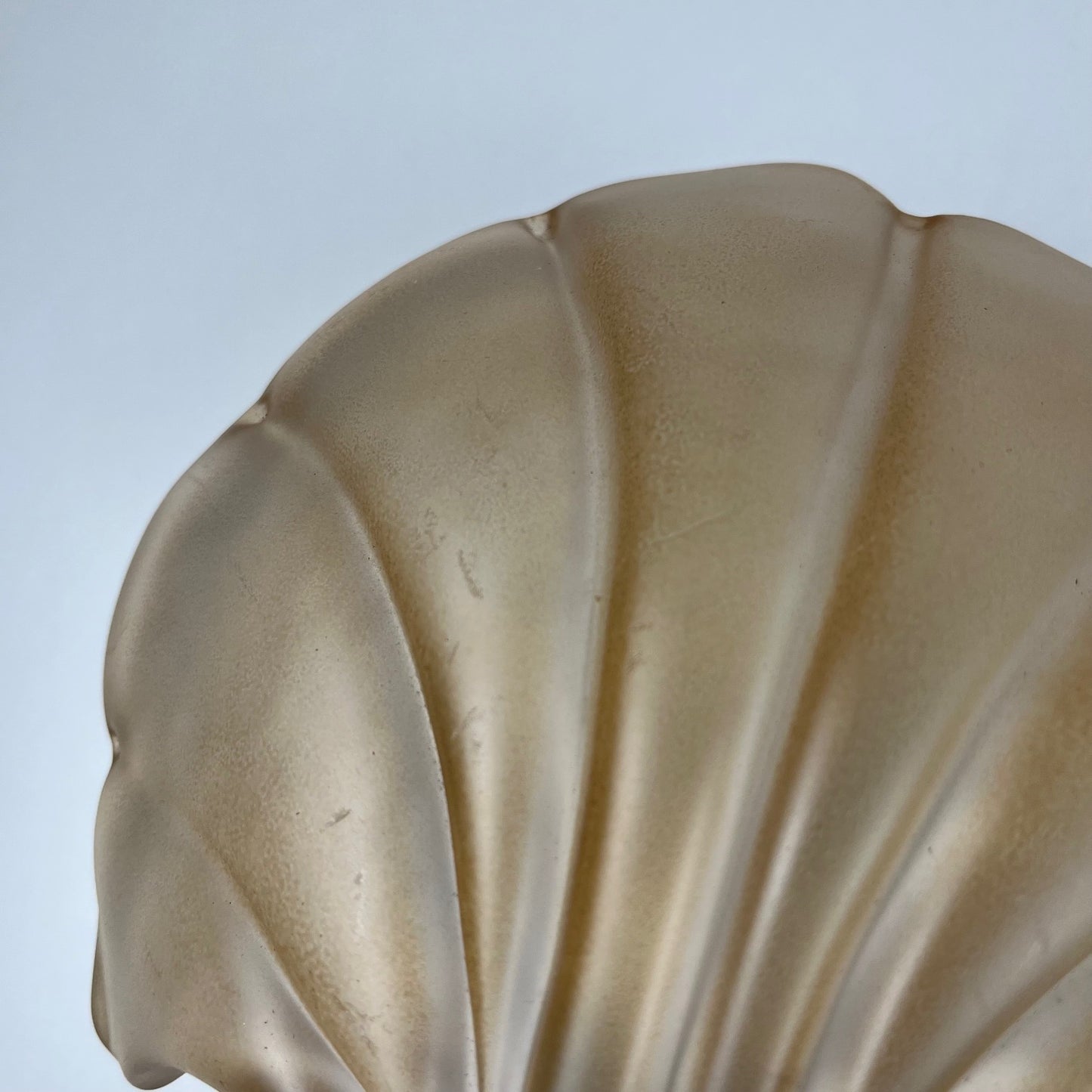 Pair of vintage shell wall lights in glass paste, Art Deco style