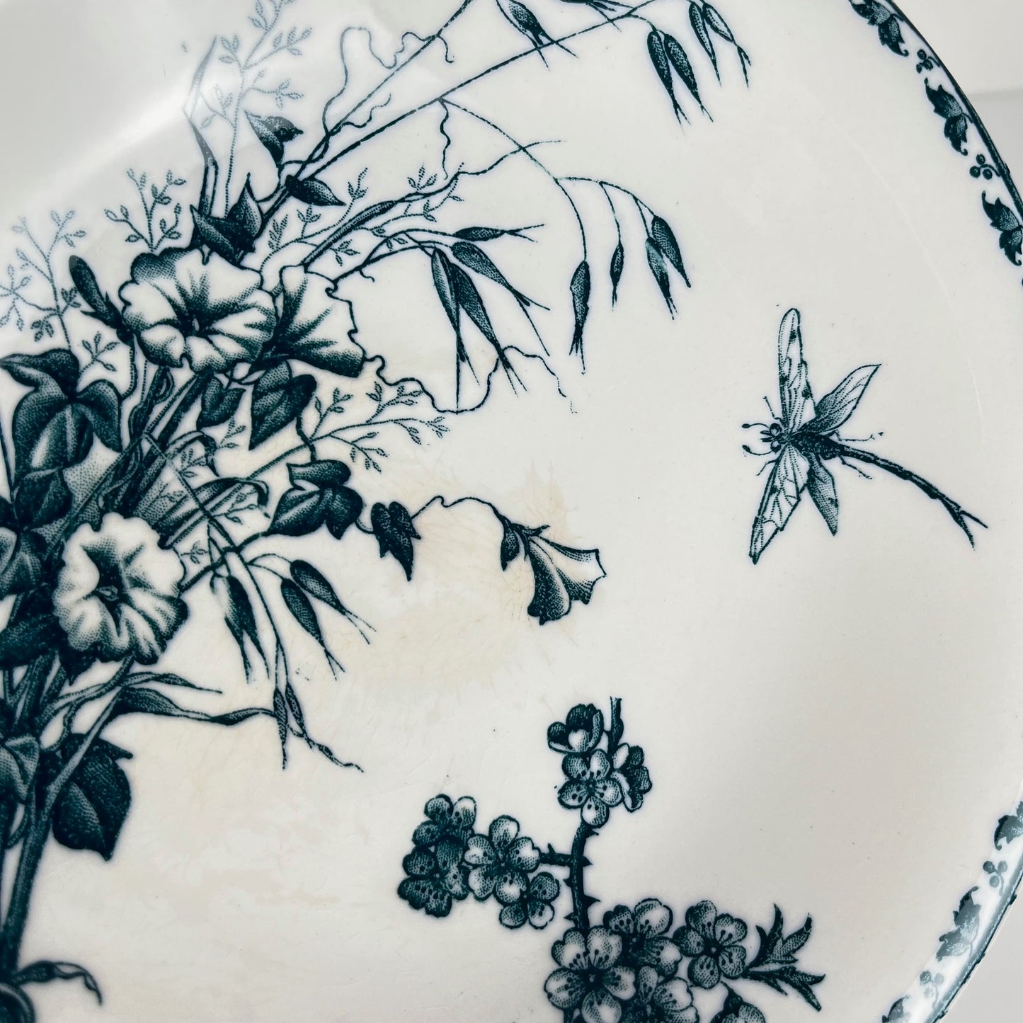 "Carmen" fruit bowl, Sarreguemines, circa 1879 to 1918