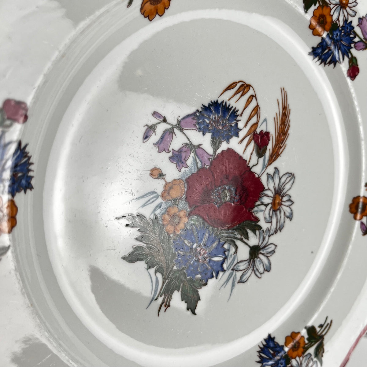 Set of 6 "Agreste" dinner plates, Sarreguemines, late 20th century, Pyroblan