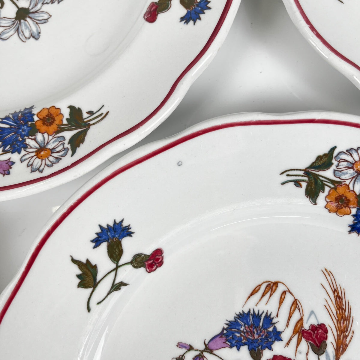 Set of 6 "Agreste" dinner plates, Sarreguemines, late 20th century, Pyroblan