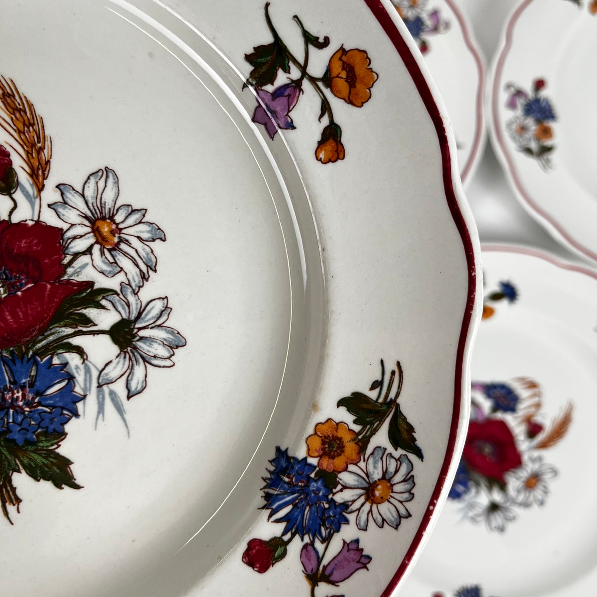 Set of 6 "Agreste" dinner plates, Sarreguemines, late 20th century, Pyroblan