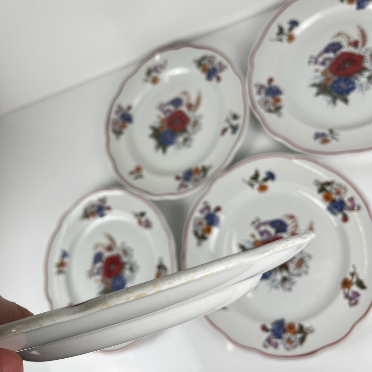 Set of 6 "Agreste" dinner plates, Sarreguemines, late 20th century, Pyroblan