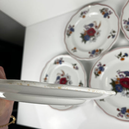 Set of 6 "Agreste" dinner plates, Sarreguemines, late 20th century, Pyroblan