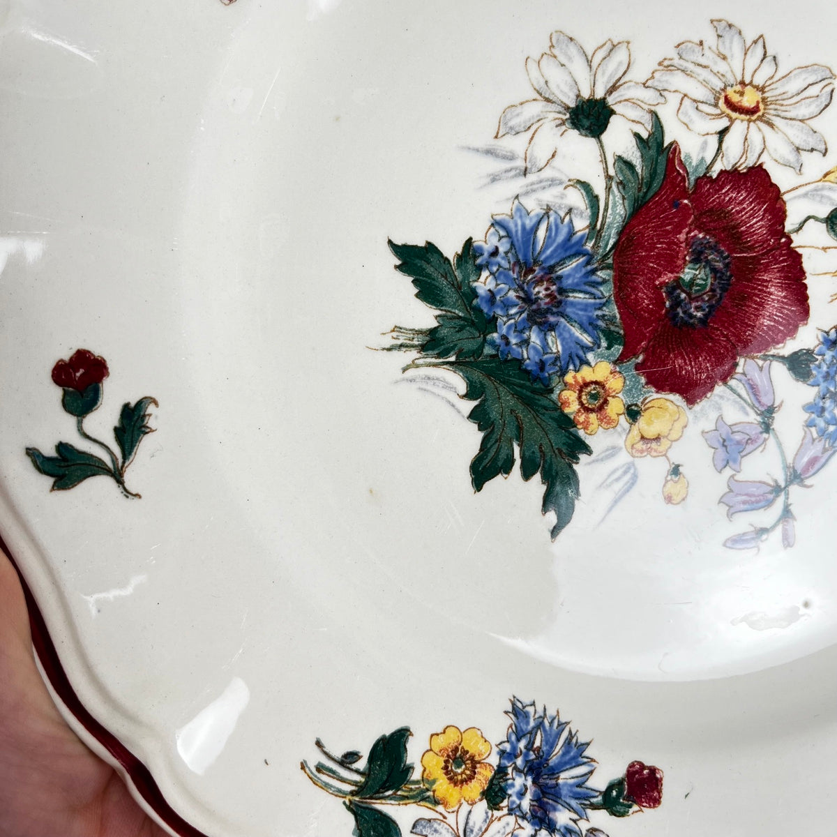 Lot de 6 assiettes plates "Agreste" Sarreguemines, XXe s.