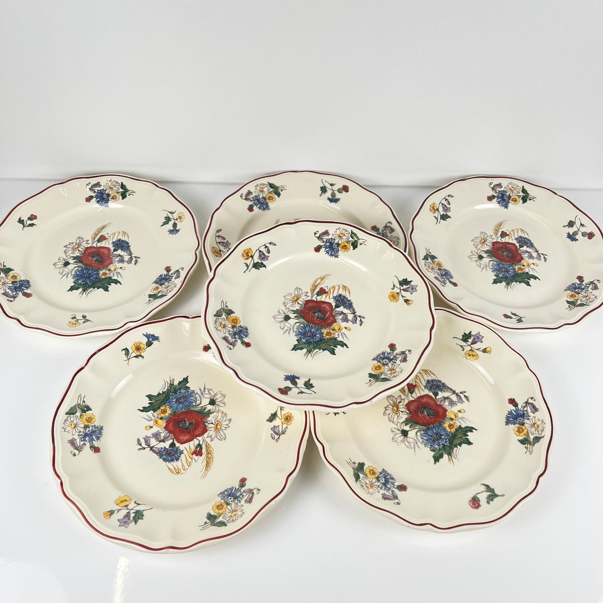 Lot de 6 assiettes plates "Agreste" Sarreguemines, XXe s.