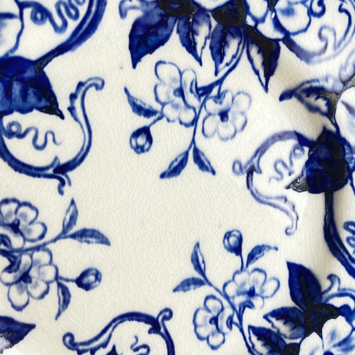 Set of 6 "Flora" *Terre de Fer* dessert plates – Creil et Montereau, 19th century, blue