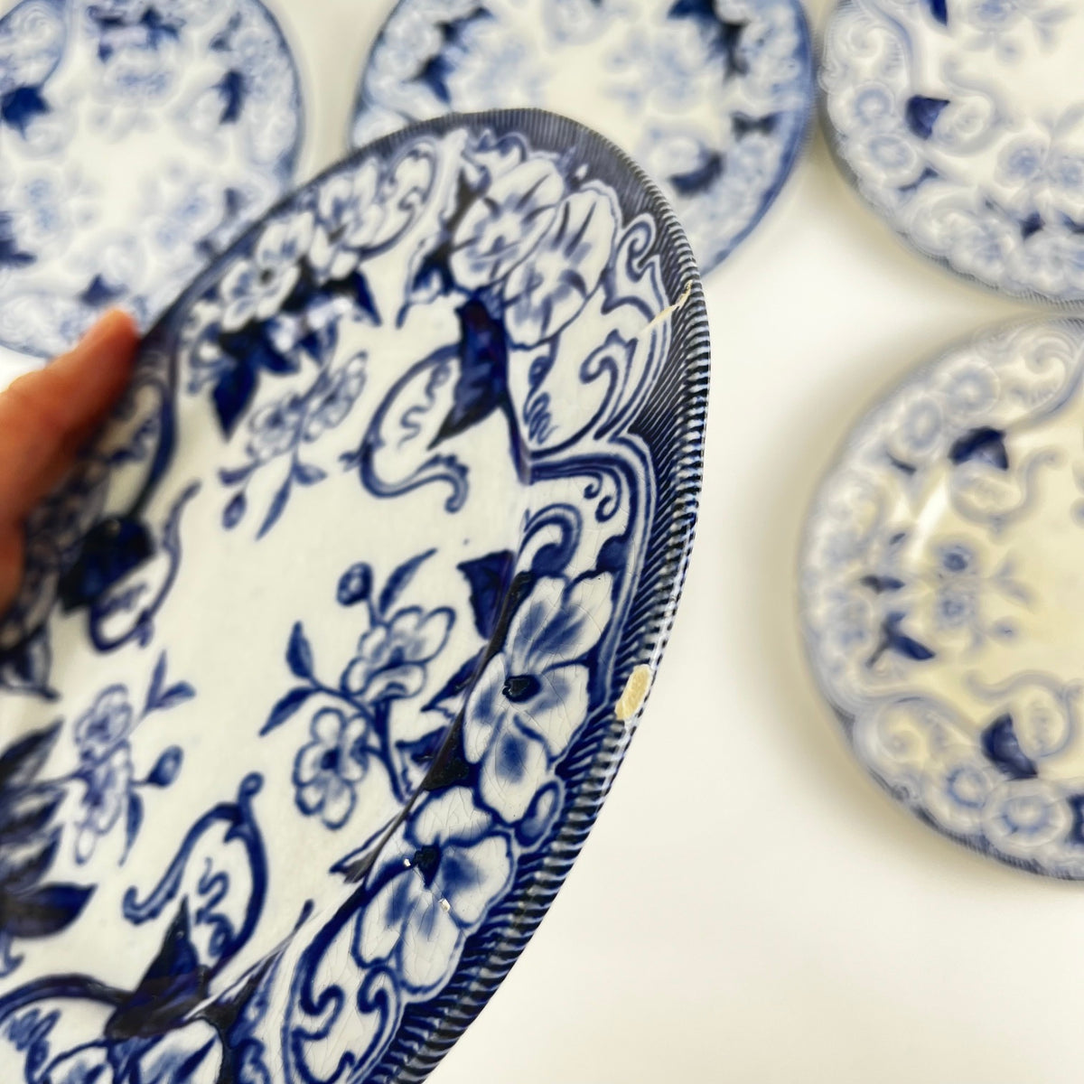 Set of 6 "Flora" *Terre de Fer* dessert plates – Creil et Montereau, 19th century, blue