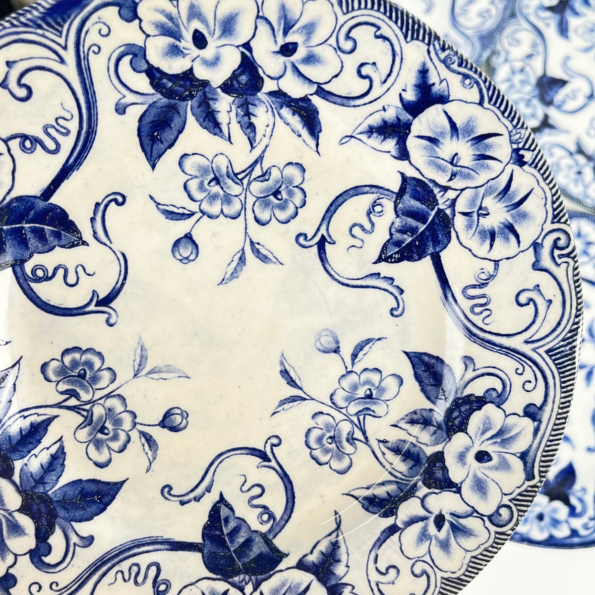 Set of 6 "Flora" *Terre de Fer* dessert plates – Creil et Montereau, 19th century, blue