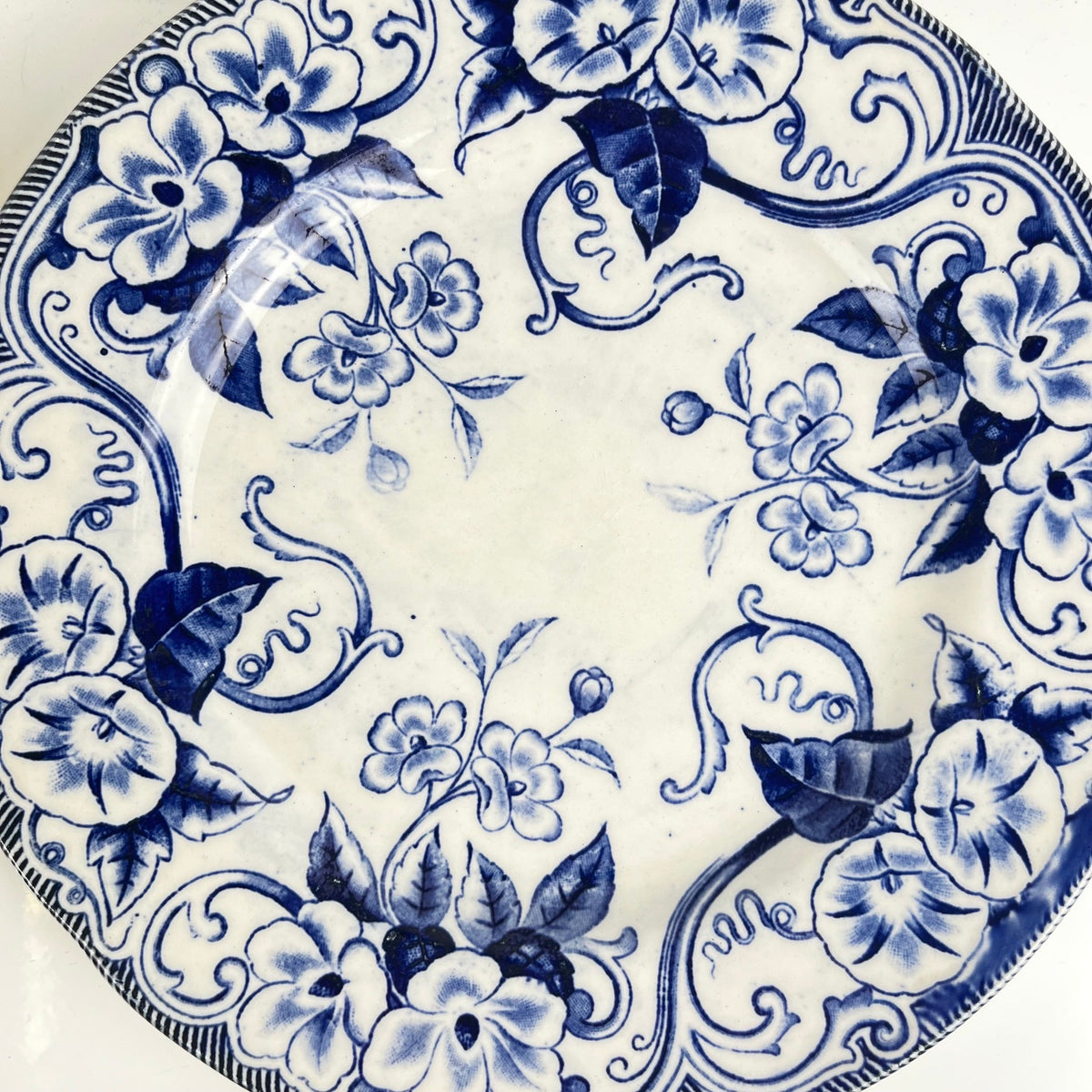 Set of 6 "Flora" *Terre de Fer* dessert plates – Creil et Montereau, 19th century, blue