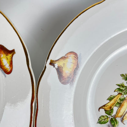 Set de 6 assiettes creuses KG Lunéville "Le Potager" , 1950/70