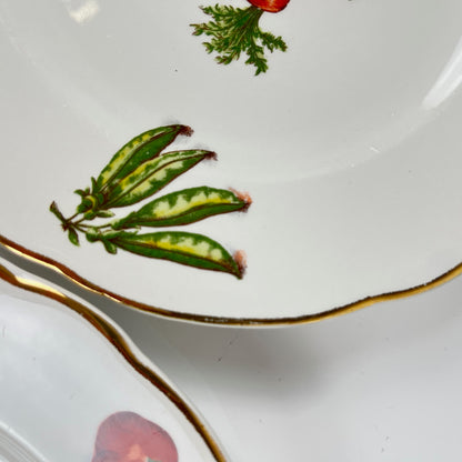 Set de 6 assiettes à dessert KG Lunéville "Le Potager" , 1950/70