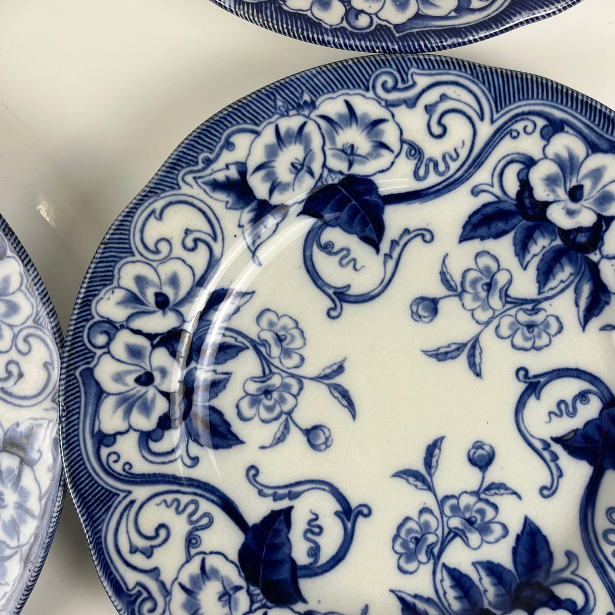 Set de 6 Assiettes plates en Terre de Fer « Flora » – Creil et Montereau, XIXe siècle, bleu