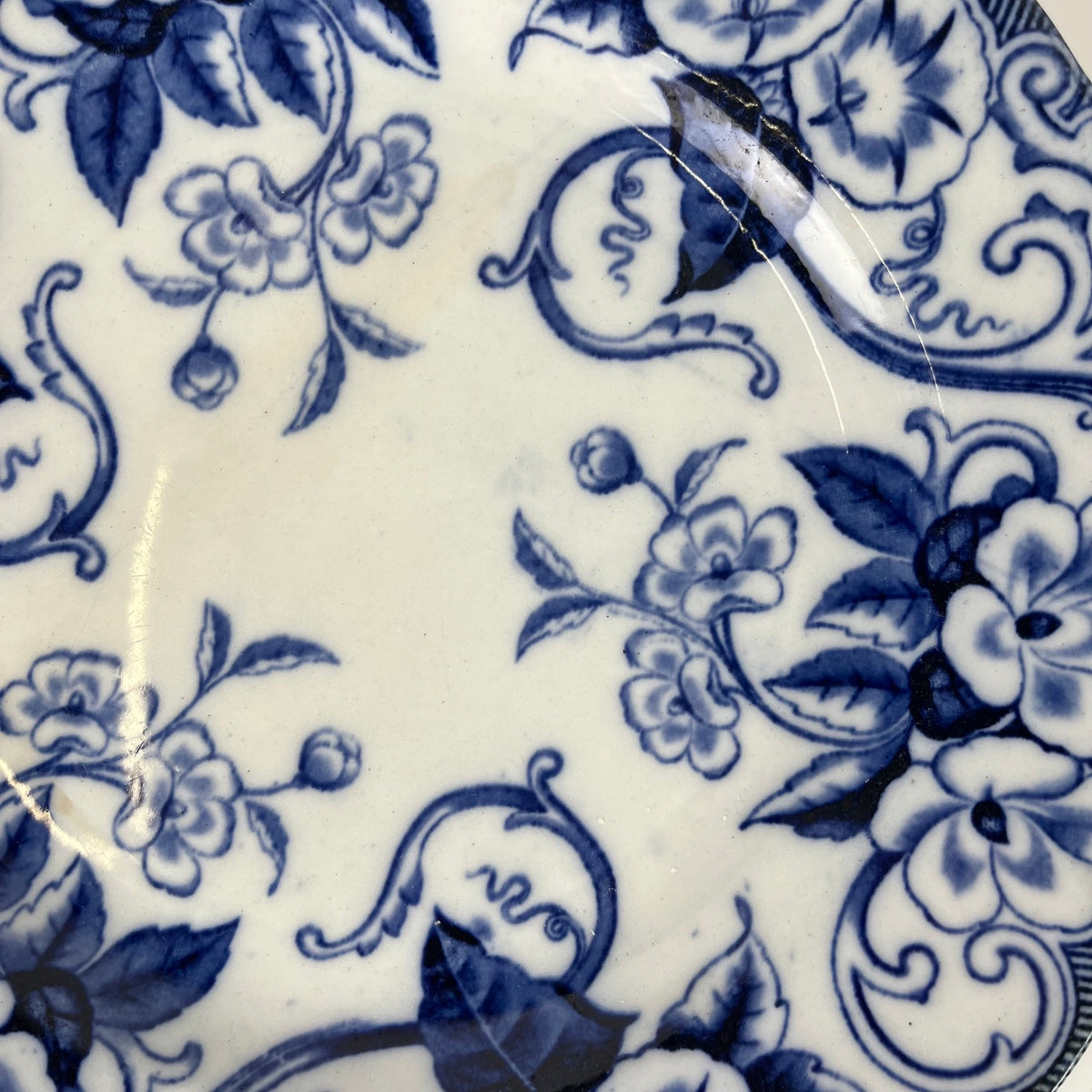 Set de 6 Assiettes plates en Terre de Fer « Flora » – Creil et Montereau, XIXe siècle, bleu