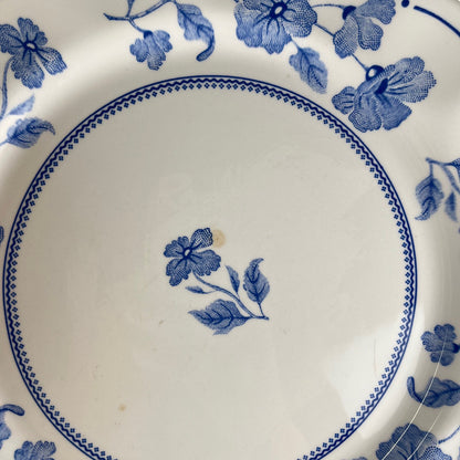 Set of 8 Nuova Fontebasso dinner plates, blue flower motif and scalloped edge, Italy, 20th century.