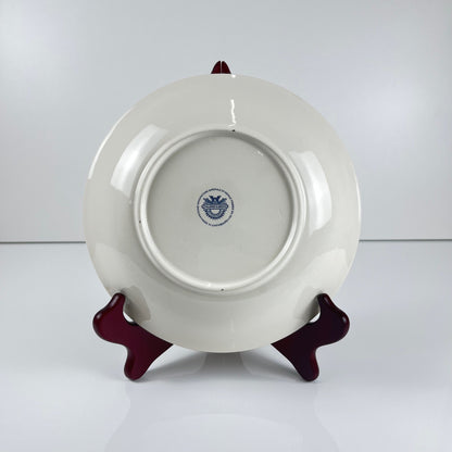 Set de 5 assiettes creuses Villeroy & Boch "vigne"