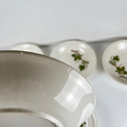 Set de 5 assiettes creuses Villeroy & Boch "vigne"