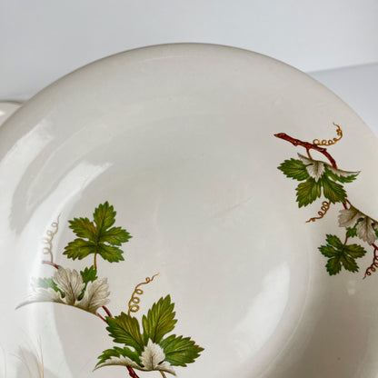 Set de 5 assiettes creuses Villeroy & Boch "vigne"