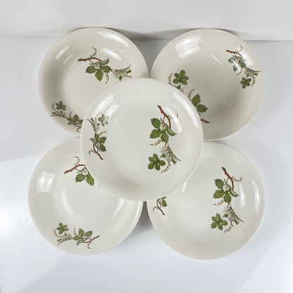 Set de 5 assiettes creuses Villeroy & Boch "vigne"