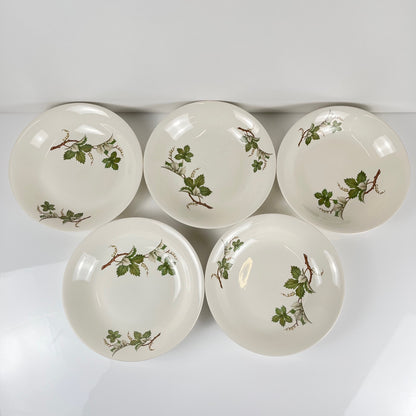 Set de 5 assiettes creuses Villeroy & Boch "vigne"