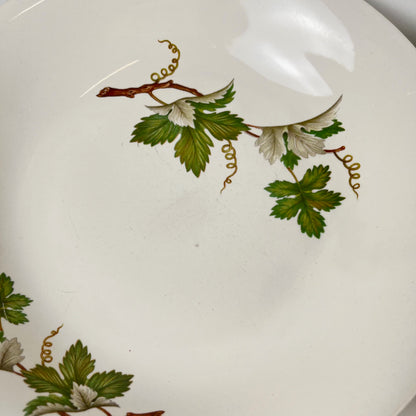 Set de 5 assiettes creuses Villeroy & Boch "vigne"