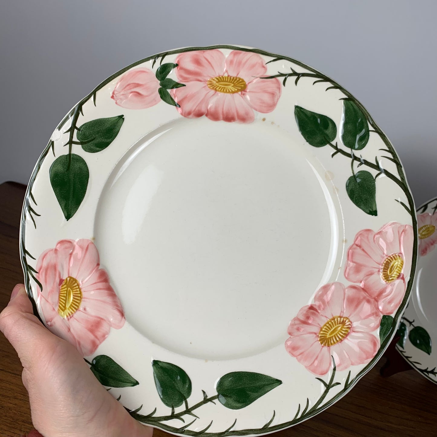 Service Villeroy & Boch "Wild Rose", 1970