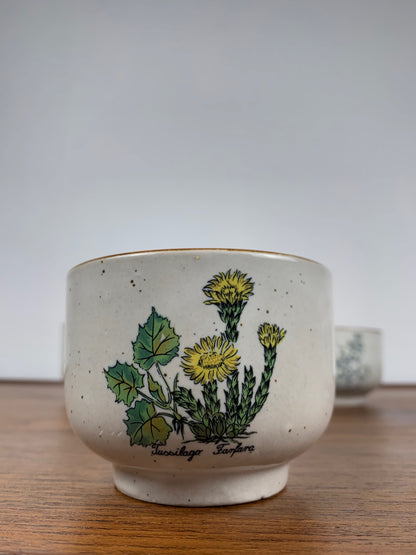 Set de 4 tasse à thé "herbier" , 1960/70, céramique