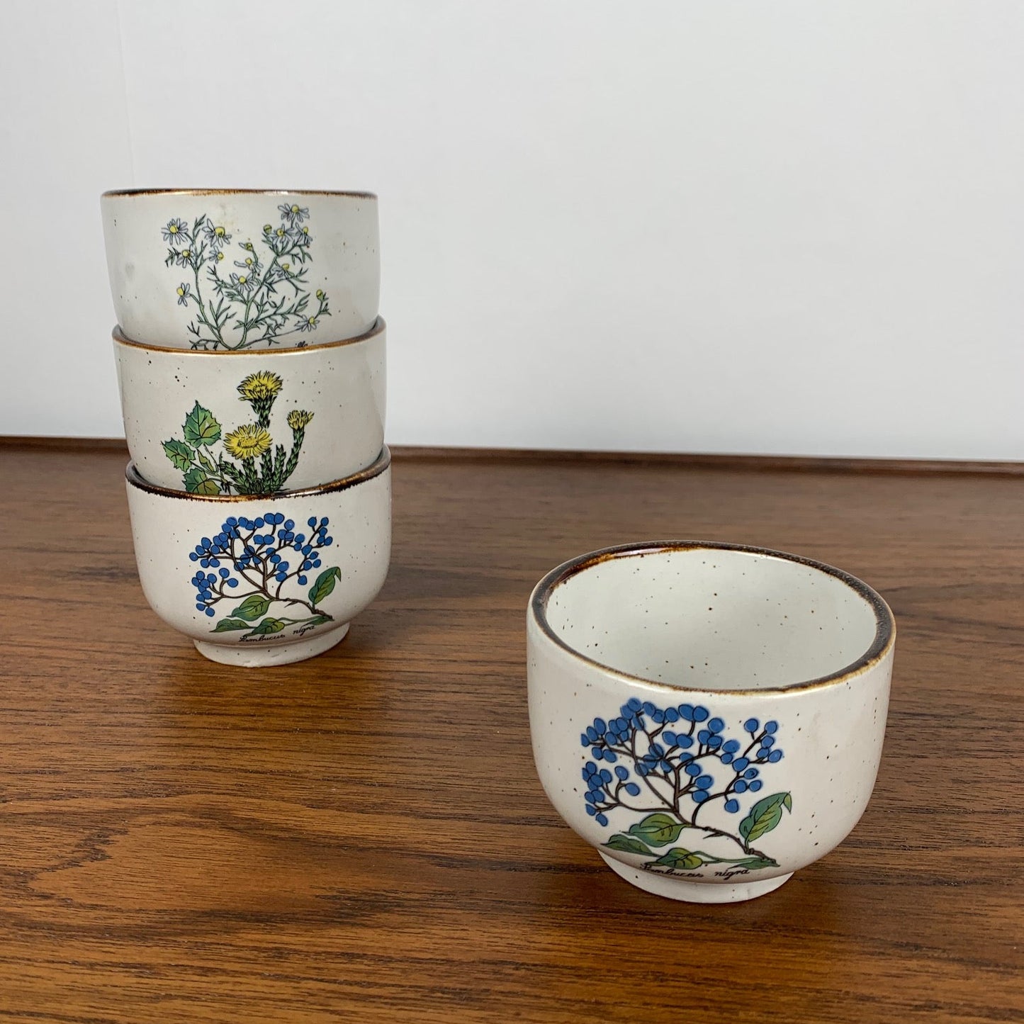 Set de 4 tasse à thé "herbier" , 1960/70, céramique