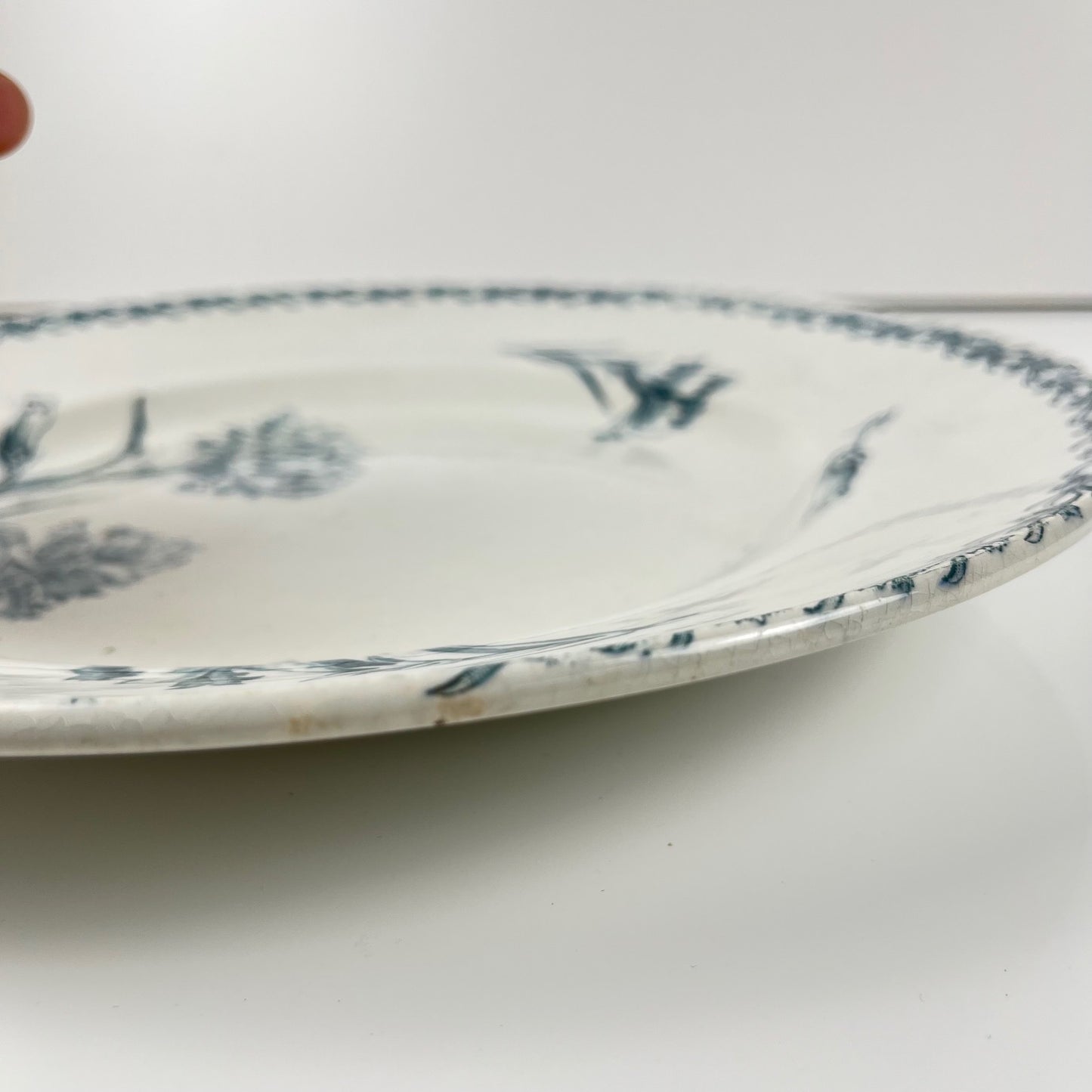 Round dish, "oeillet" pattern, KG Lunéville, ironstone, 19th century