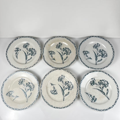 Set of 6 dessert plates, "Oeillet" pattern, KG Lunéville, ironstone, 19th century