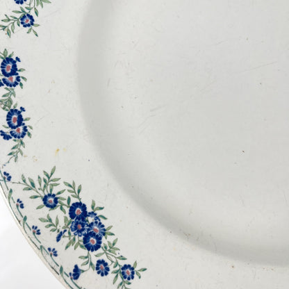 Plat rond "Marguerites", Sarreguemines, 1875 - 1920