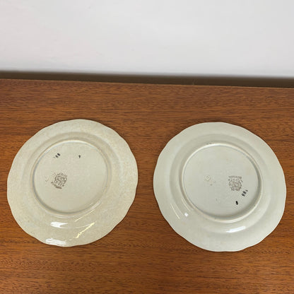 Set of 2 Choisy le roi plates, iron earth, floral motif, late 19th century