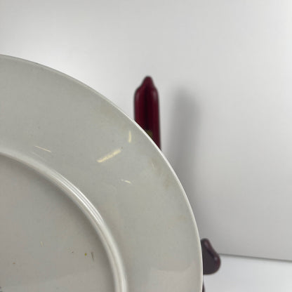 Set de 4 assiettes plates Villeroy & Boch "Acapulco" , 1960, 2nd choix