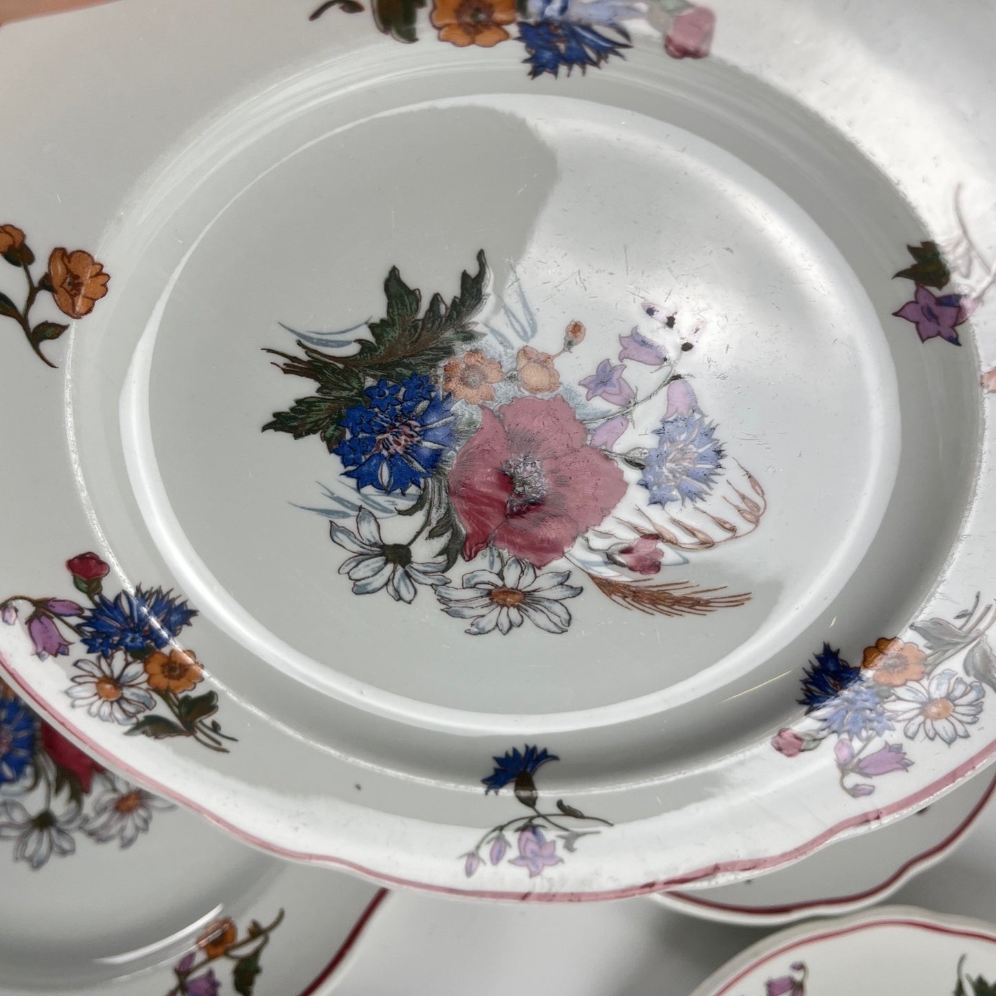 Set of 6 "Agreste" dinner plates, Sarreguemines, late 20th century