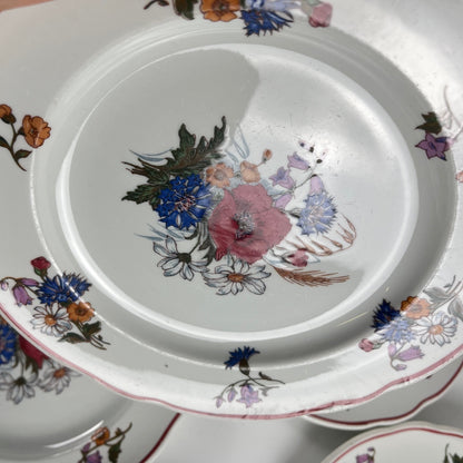 Set of 6 "Agreste" dinner plates, Sarreguemines, late 20th century