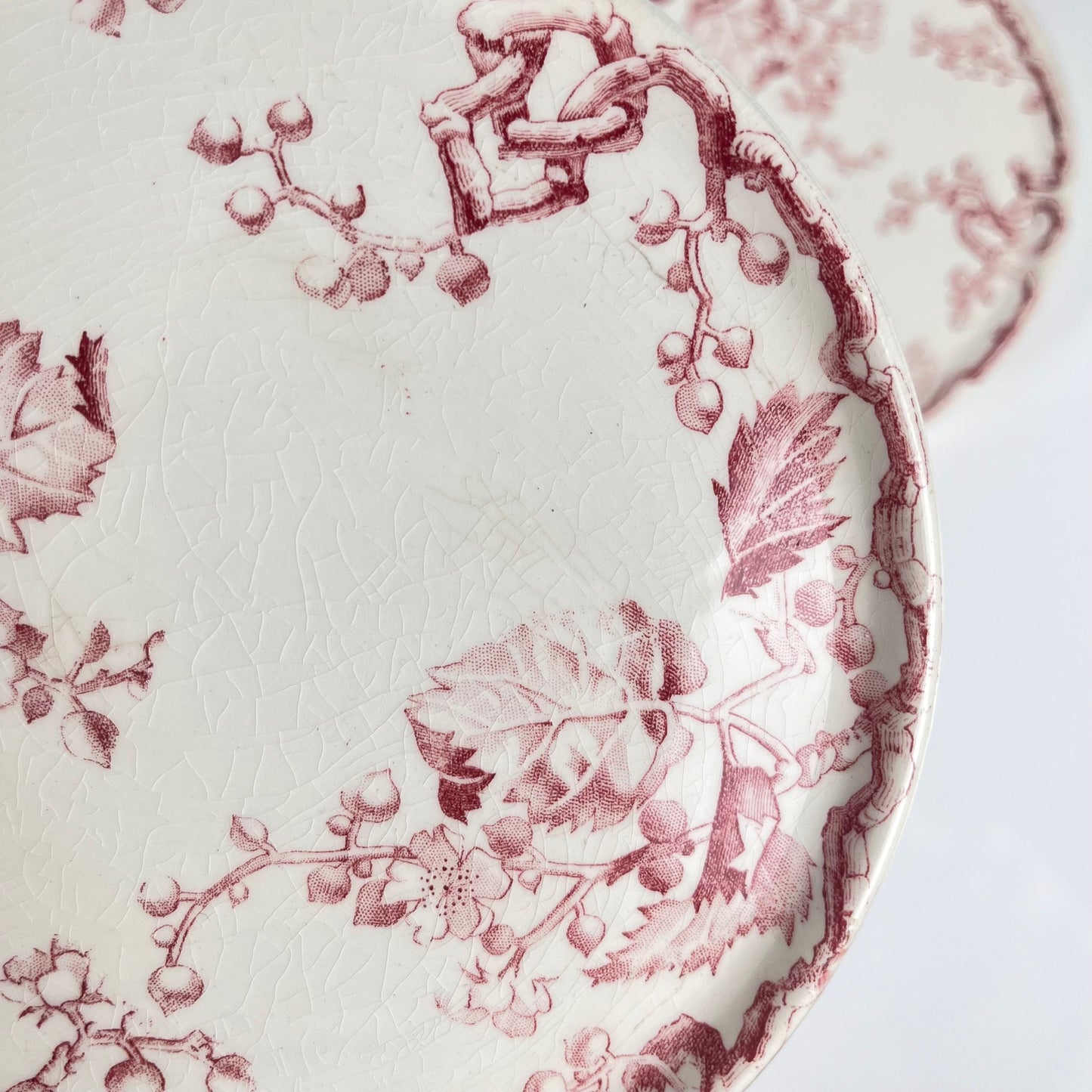 Rare Set of 6 bread plates KG Lunéville Ironstone, "Fontainebleau", pink, 19th century