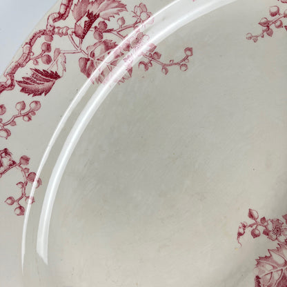 Plat ovale KG Lunéville Terre de fer, " Fontainebleau" , rose, XIXe siècle