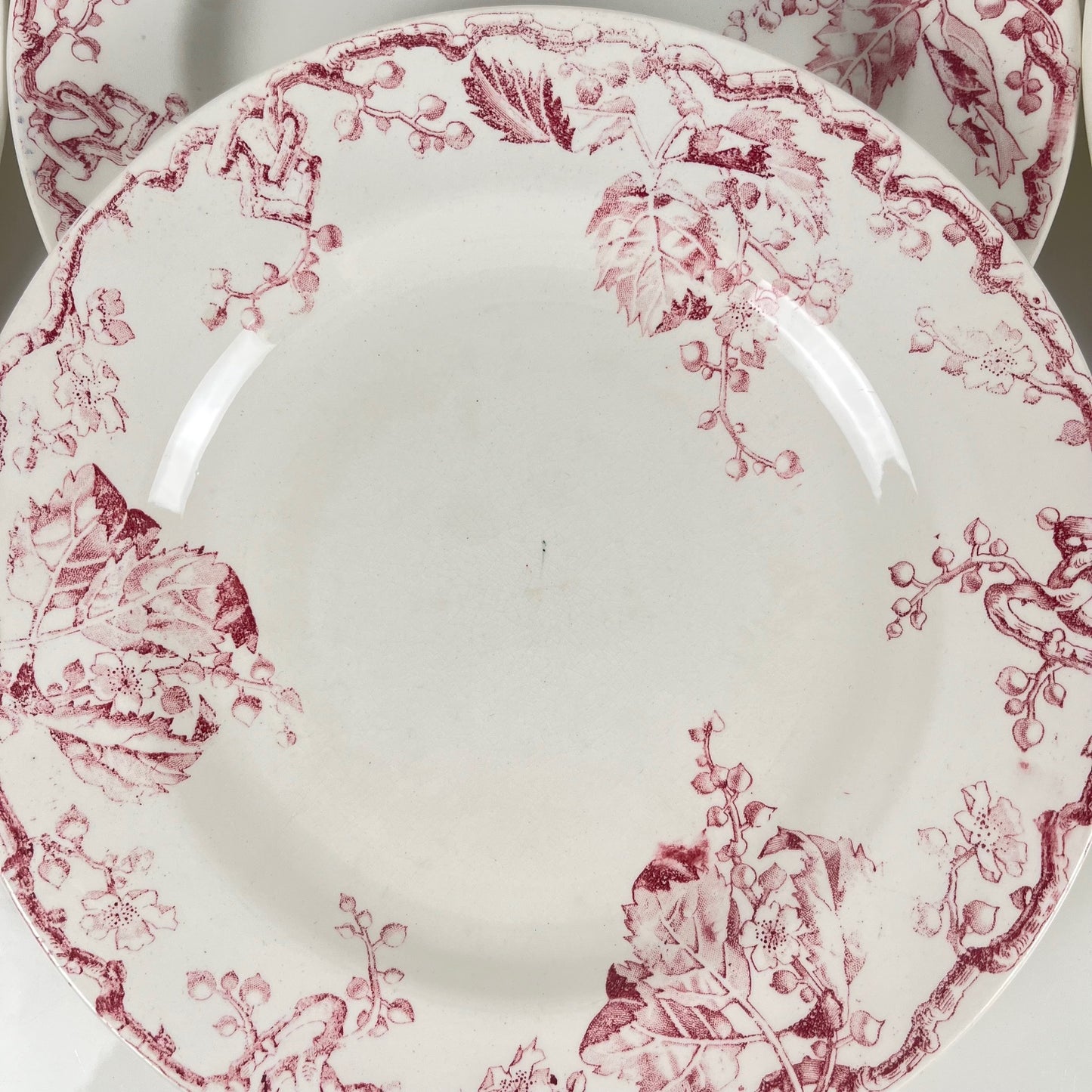 Set de 6 assiettes plates KG Lunéville Terre de fer, " Fontainebleau" , rose, XIXe siècle