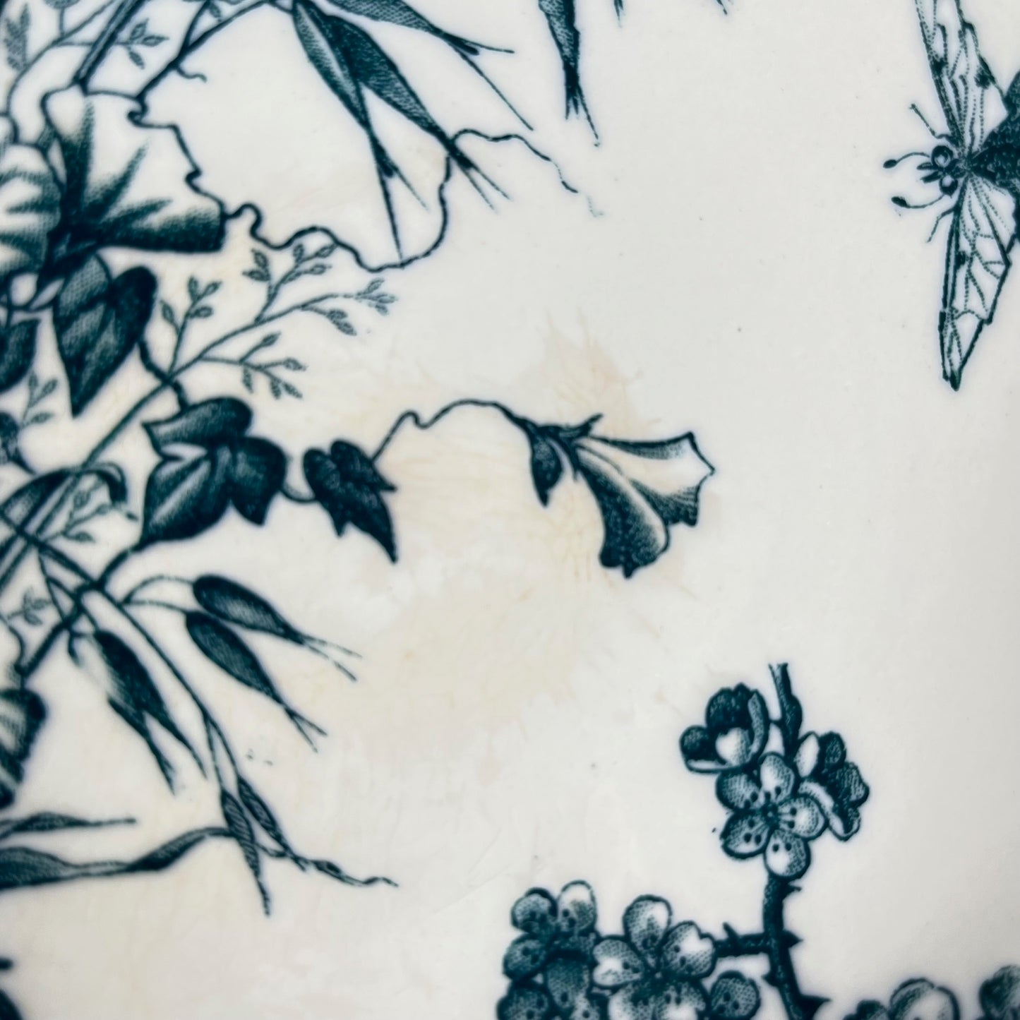 "Carmen" fruit bowl, Sarreguemines, circa 1879 to 1918