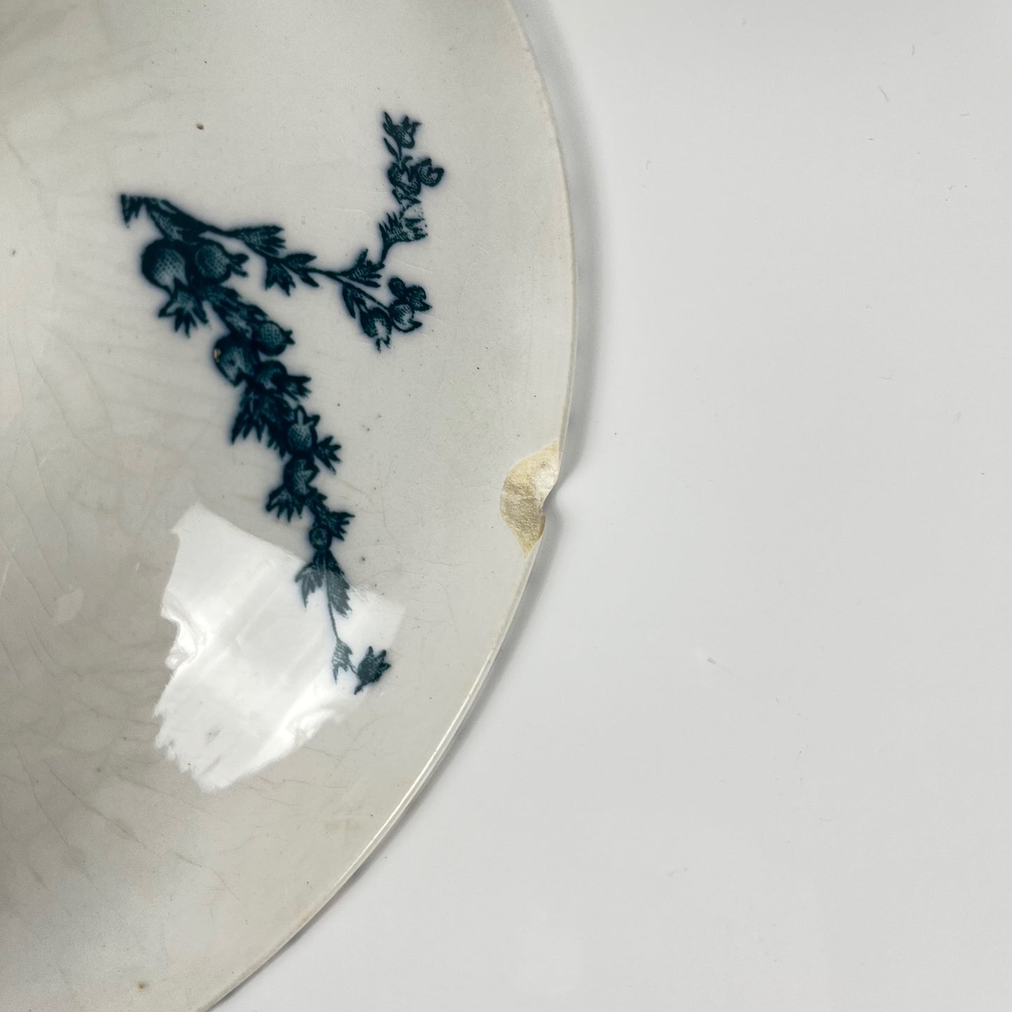 "Carmen" fruit bowl, Sarreguemines, circa 1879 to 1918