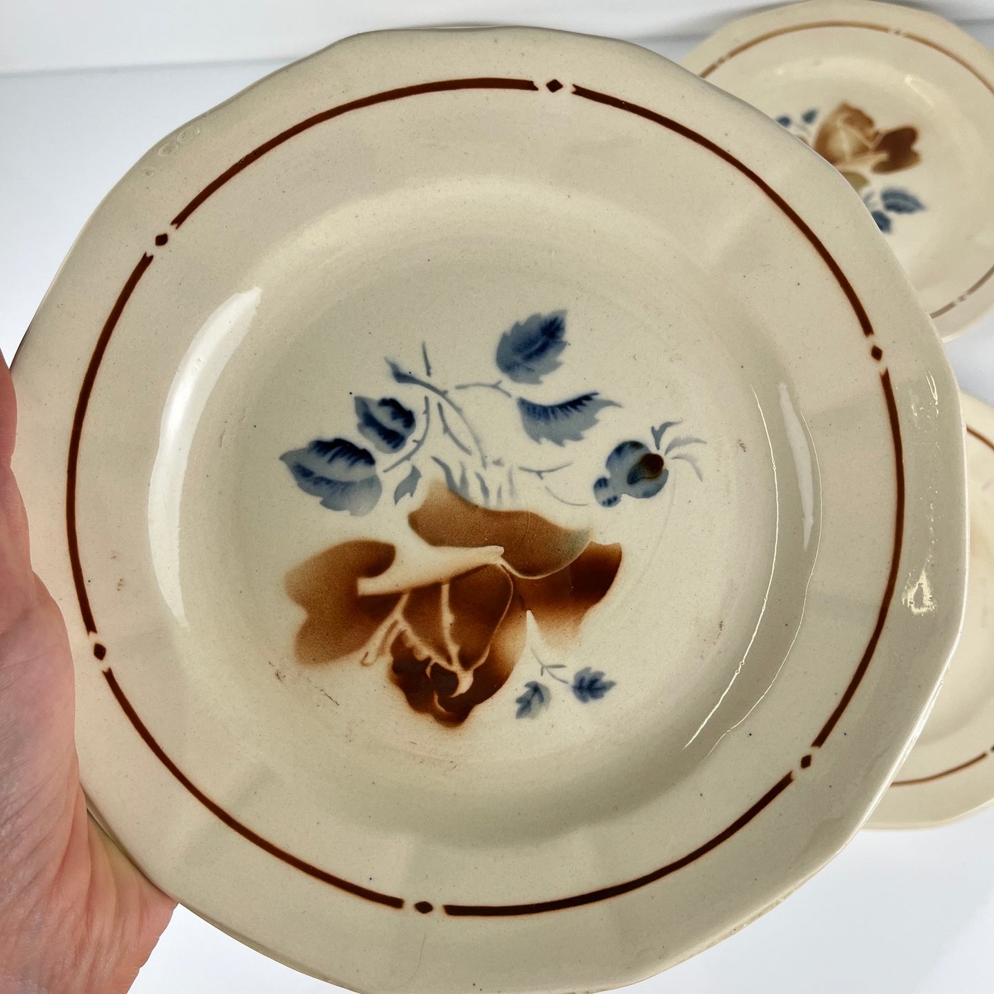 Set of 4 Sarreguemines Dinner Plates, floral pattern, first half of the 20th century