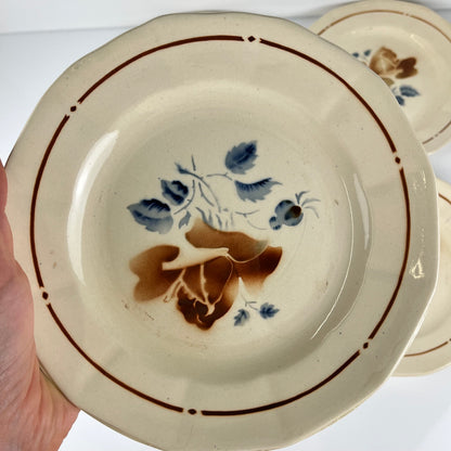Set of 4 Sarreguemines Dinner Plates, floral pattern, first half of the 20th century