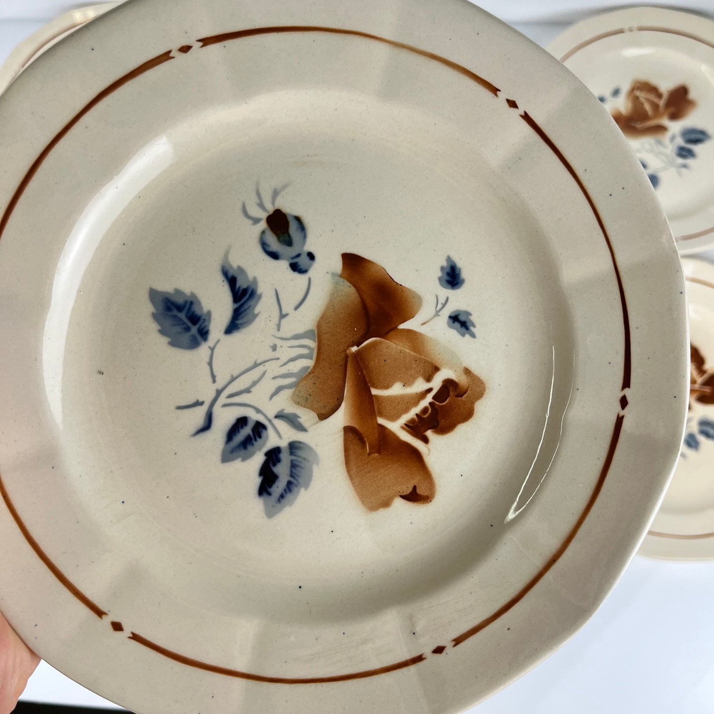 Set of 6 Sarreguemines Dinner Plates with floral pattern, first half of the 20th century